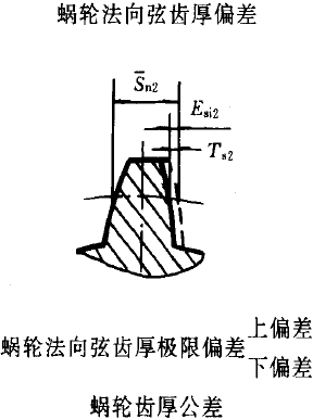 平面二次包絡環面蝸杆傳動精度蝸杆、蝸輪誤差的定義及代号
